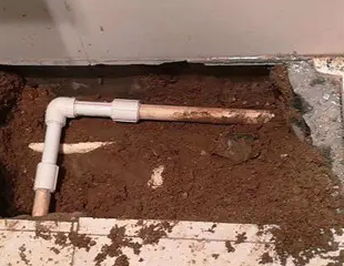 抚远测漏水哪家好