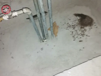 抚远卫生间测漏水价格明细