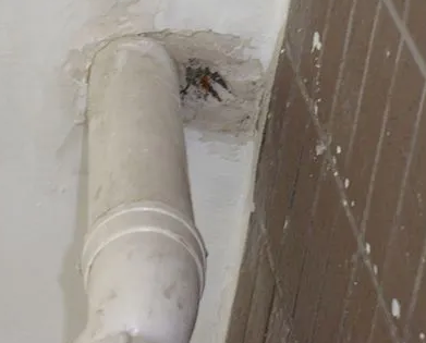 抚远漏水检测哪家好